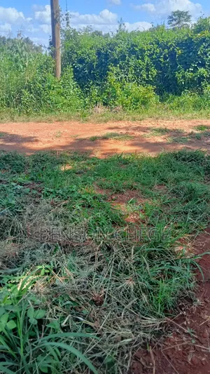 4 Acre Land in Loc20 Mirira