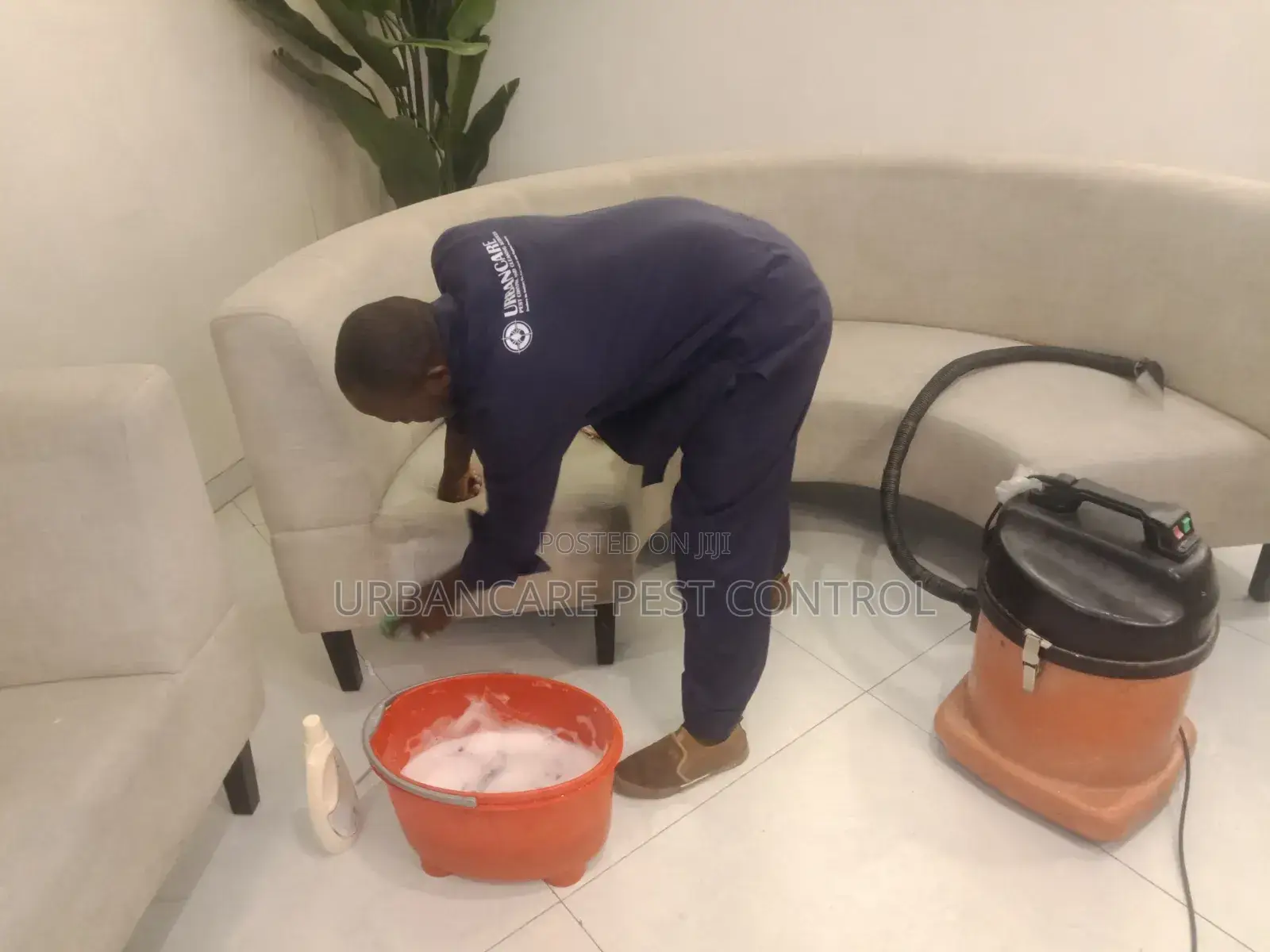 Professional Sofa Cleaning Services