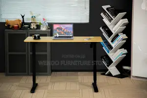 Office Desk; 1.2 Meters Liftable Height Electric Ergonomic Style Desk