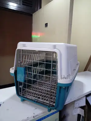 Traveling Plastic Dog Carrier