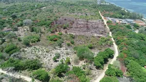1⁄2 Acre Plots (10 Available) Beachfront Plots