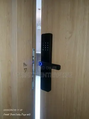 Smary Lock Original Tuya Wifi Apo Contro Passwords Fingerprints Cards