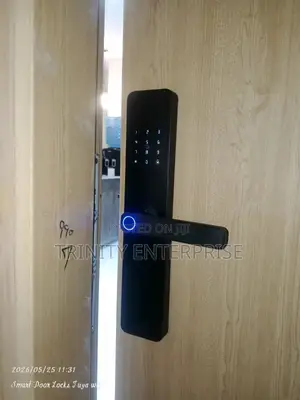 Smart Lock Tsyh Tuya Wifi Digital Unlocking Password Fingerprints Card