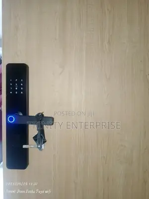Smary Door Lock Digital Fingerprint Remote Control Tuya App