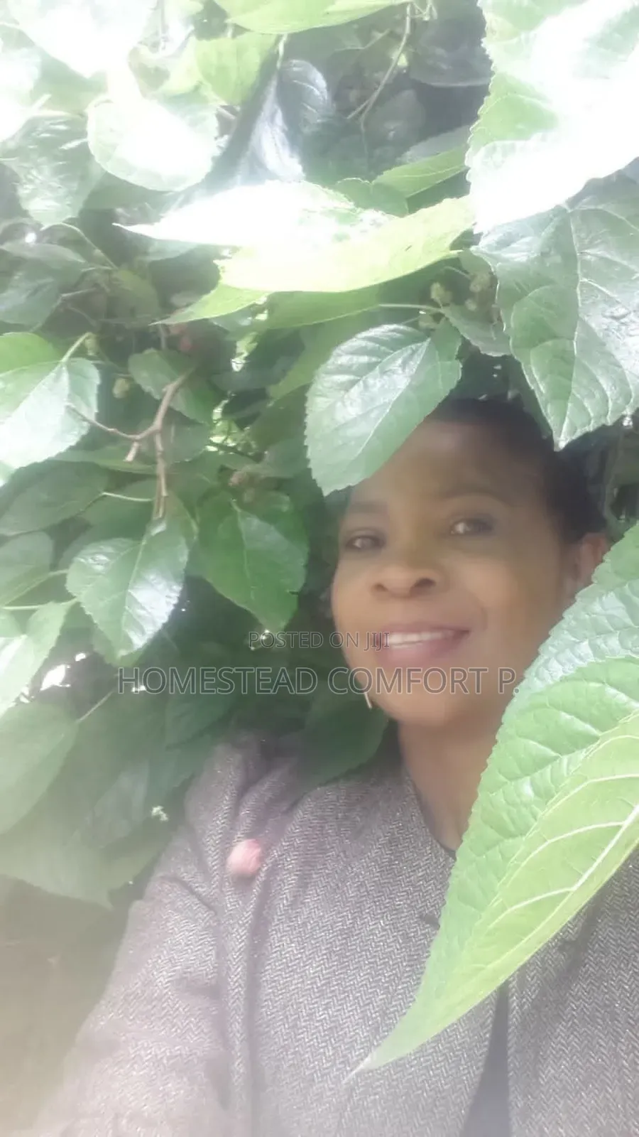 Funeral Events Planner Coordinator Services