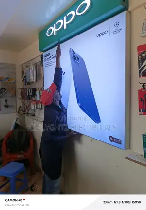 Professional Electrician