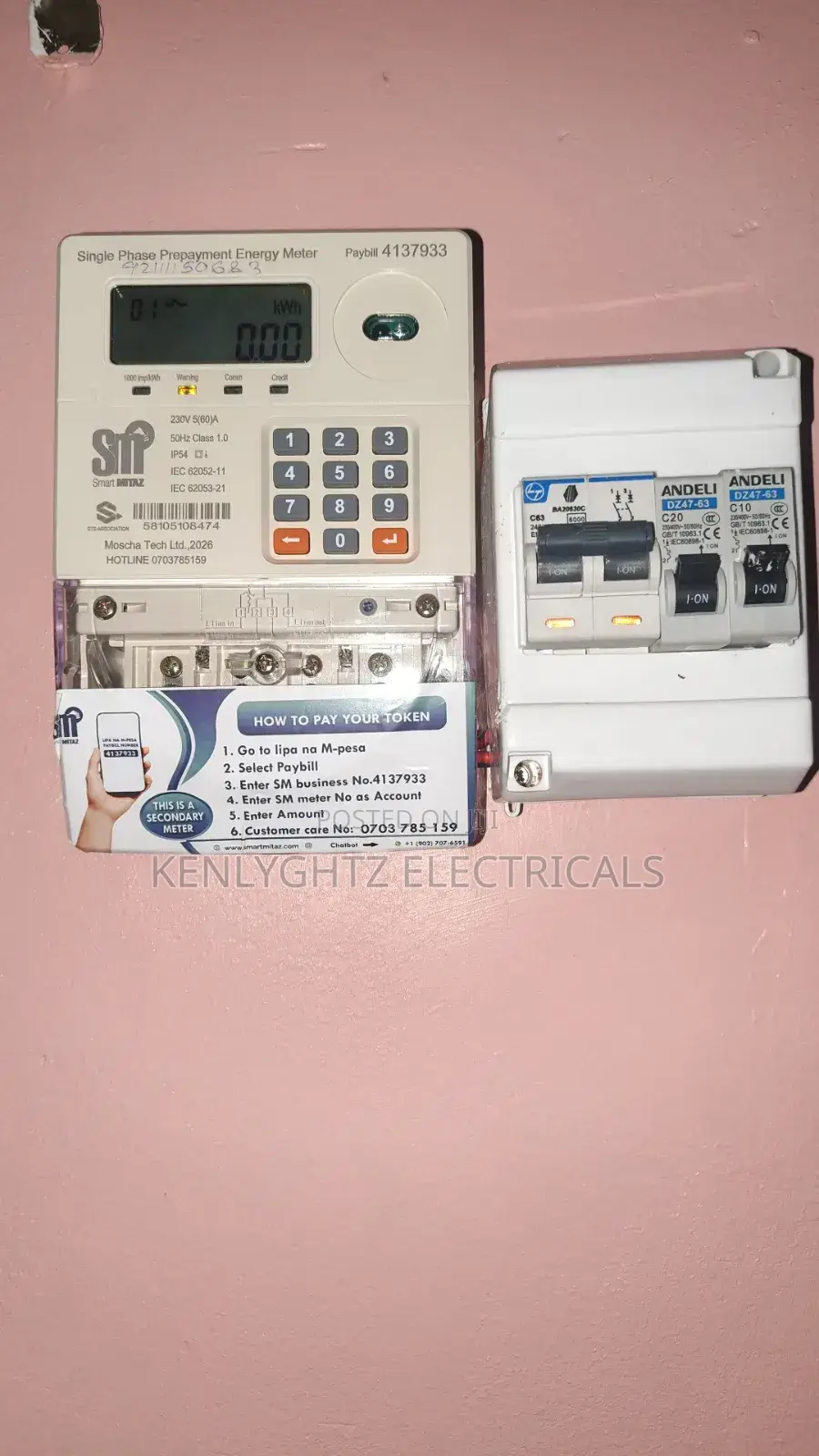 Professional Electrician