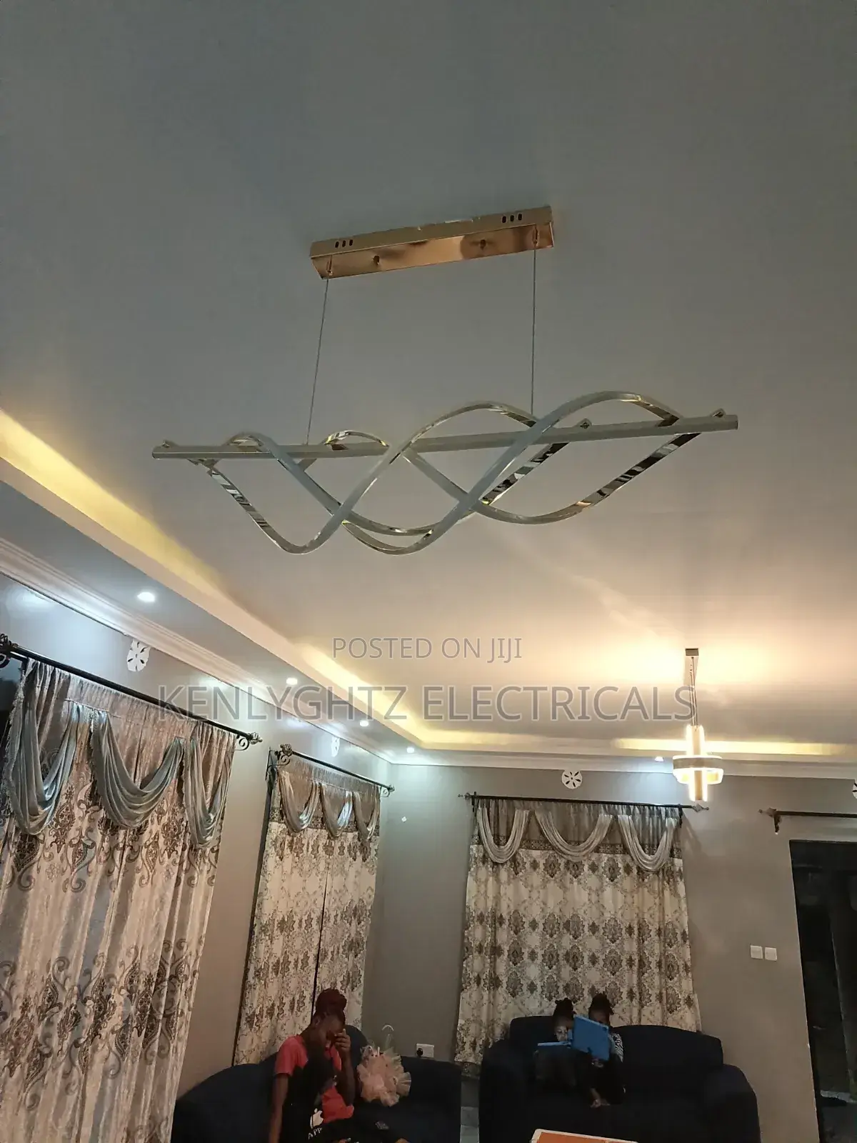 Professional Electrician