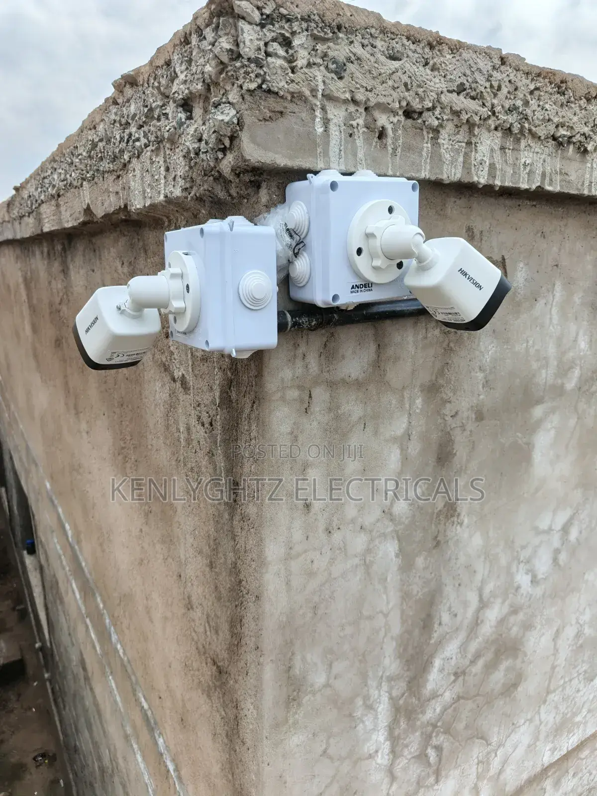 Professional Electrician