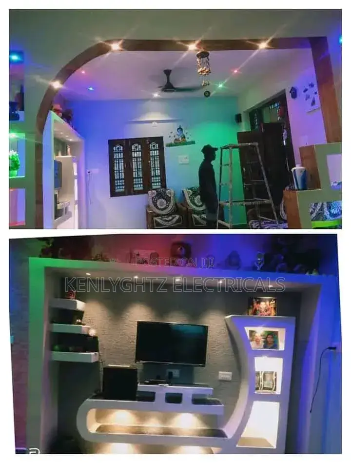 Professional Electrician