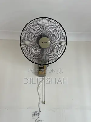 Oscillating Wall Fans