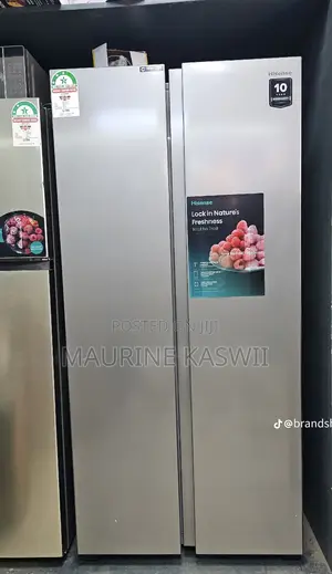 Hisense Side by Side 441 L Silver