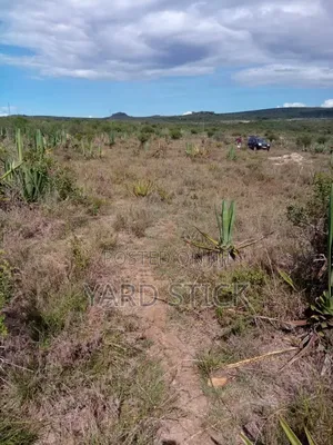 100×100 Plot in Lukenya Area Near Kinanie Shopping Centre