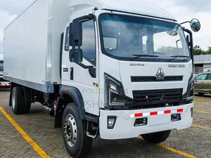 Howo H3 12tons(Same as Frr)