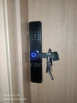 Smart Lock Wifi Smart Biometric Fingerprints Password Door Lock