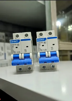 Chint MCB Double Pole 10a to 63 A