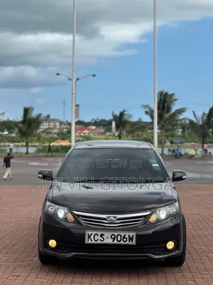 Toyota Allion 2011 Maroon