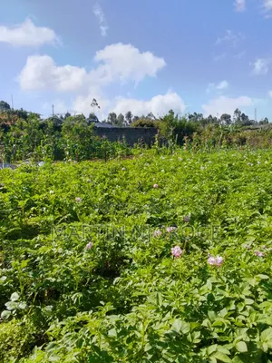 2 Acres Githirioni