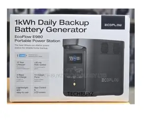 Ecoflow E980 Generator (Free Fan+ Powebank)