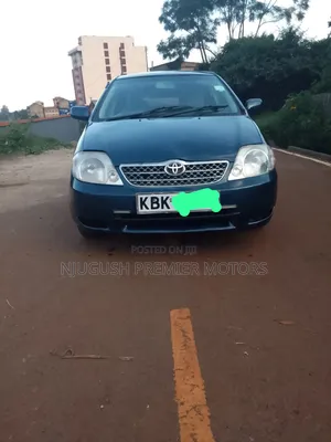 Toyota Corolla 2004 Blue