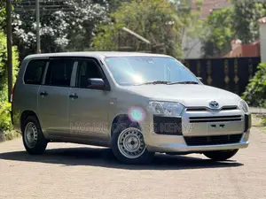 Toyota Probox 1.5 Hybrid DX 2019 Silver