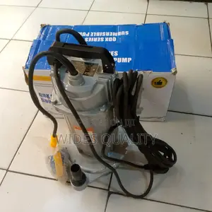 Electric Submersible Water Pump.
