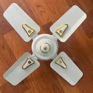 24inches Ceiling Fan Roch