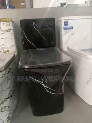 One Body Black Toilet