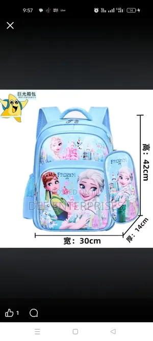 Cartoon Themed School Bag