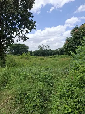 1 Acre Land for Sale in Langata