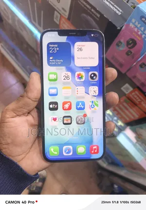 Apple iPhone 12 Pro Max 256 GB Blue