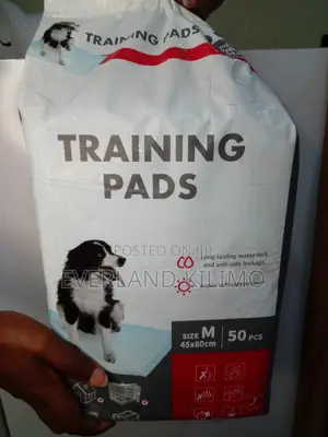Dogs Training Pads - A Pack