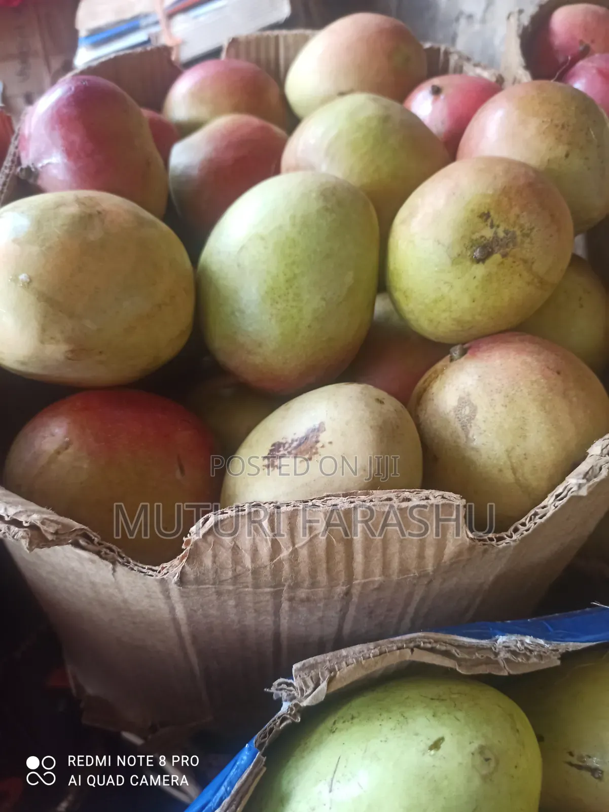 Mangoes (Apple, Ngoe, Tommy Vandike)