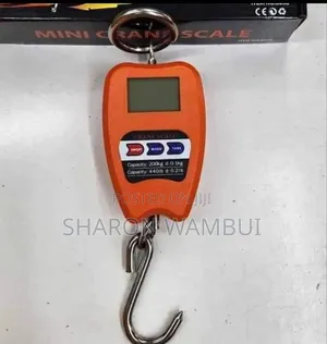 Digital Crane Scale 200kg /200kg Crane Scale