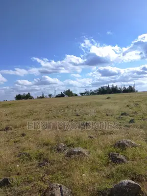Quick Sale. Two Quarter Acre Plots Near Santoki at KSH