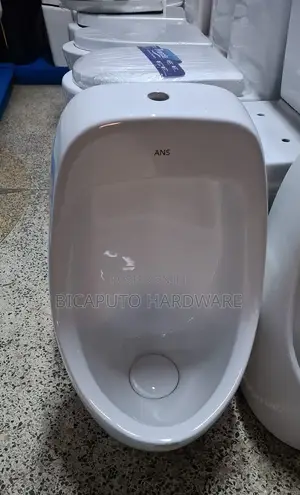 Urinal Bowl