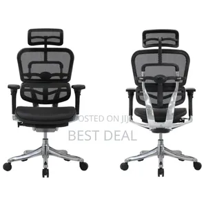 Orthopedic Ergonomic Chair