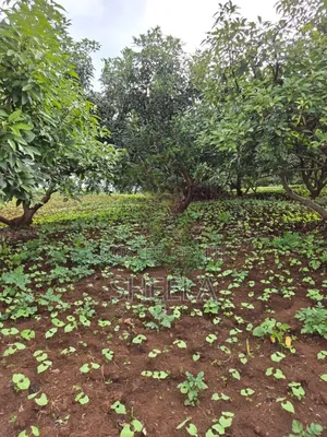 Lovely 1/8th in Ngong