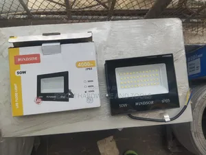50wts Floodlights Windsor F20.Wholesale Price.