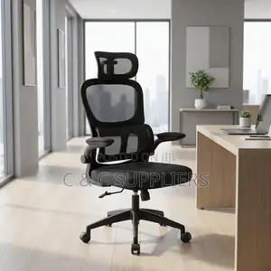 Orthopedic Office Chair With Flip Arms