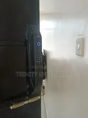 Smart Lock High Security Electronic Smart Biometric Fcae Fingerprints