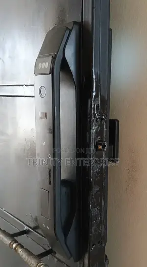 3d Face Smart Biometric Electronic Door