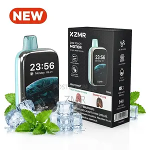 ZMR 30000puffs Miami Mint Vape Rechargeable Screen Shisha