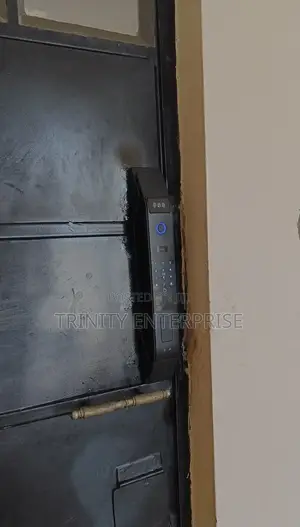 Face Recognition Door Locks Automatic Locking Password Fingerprint