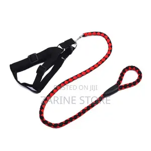 Dog Leash and Harness Dog Chain