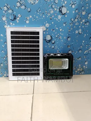 Affordable 60 Watts Tg Solar Floodlight