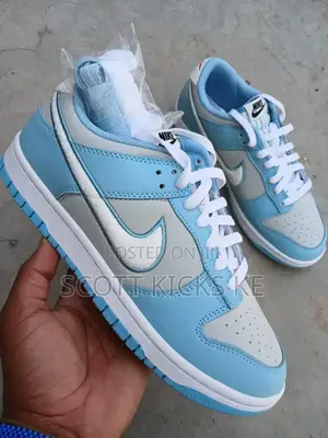 Nike Dunk Low Worn Blue