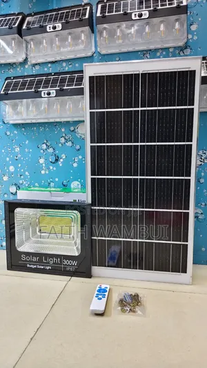 New Arrival Pocket Friendly 300 Watts Solar Floodlight