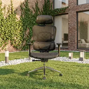 Mesh Orthopedic Office Seat