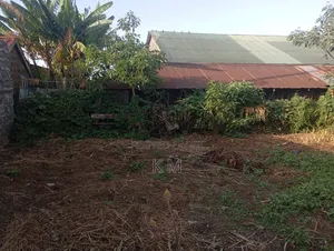 Njoro Plot 30*40